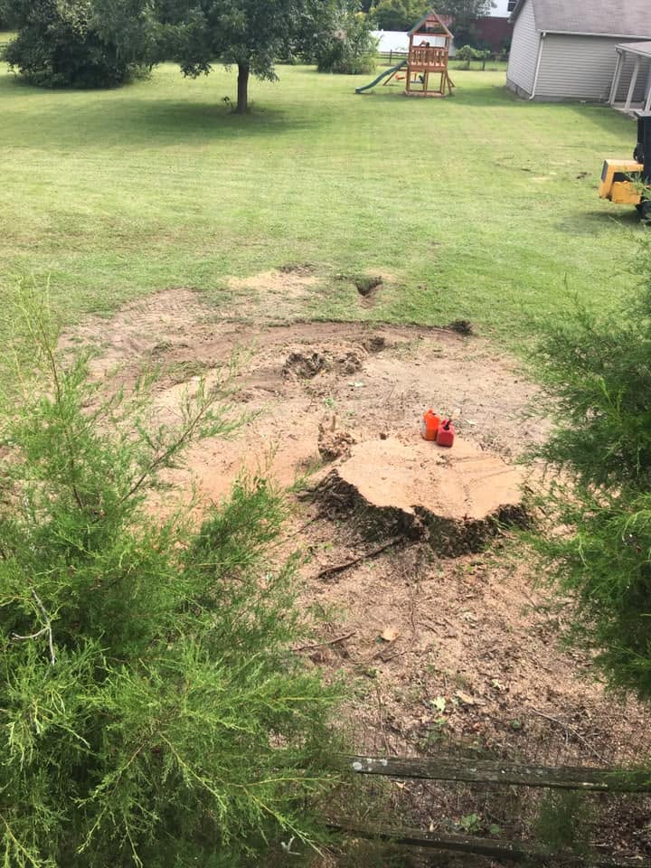 Ground-out stump in a residential backyard after stump grinding